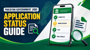 How to Check Government Job Application Status in Pakistan
