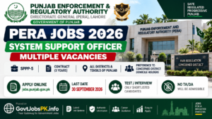 Punjab Enforcement and Regulatory Authority Jobs 2026