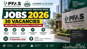 Punjab Financial Advisory Services Jobs 2026