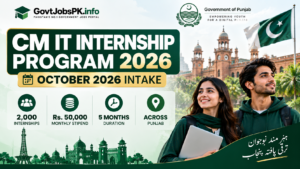 CM IT Internship Program